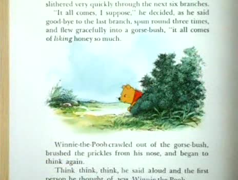 Many Adventures of Winnie the Pooh